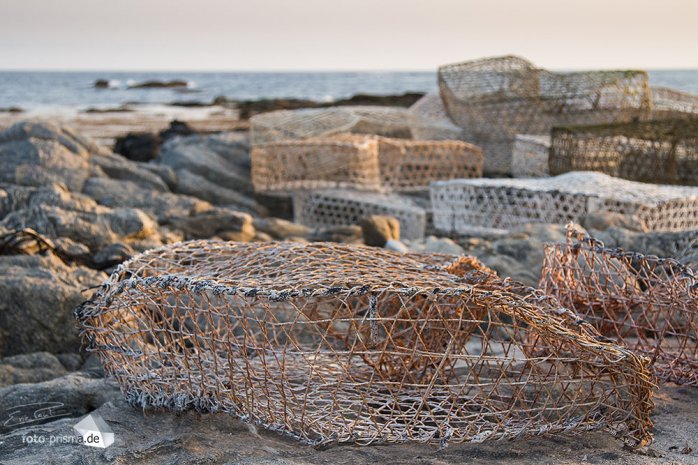 An den Küsten wird mit Käfigen nach Krabben gefischt (Foto: Eric)