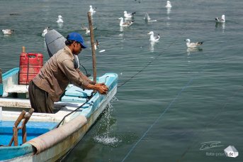 Ein Fischer wäscht sich seine Hände im Hafen von Mirbat (Foto: Eric)