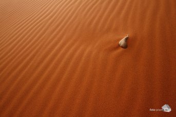 Im welligen Sand kommen immer wieder kleine Details zum Vorschein, wie dieser Stein (Foto: Eric)