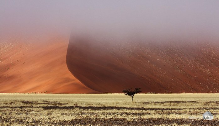 Die Spitzen der Dünen im Sossusvlei sind am Morgen durch dichten Nebel verborgen (Foto: Eric)