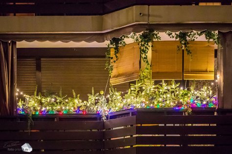 In Obergiesing sind die Fassaden zu Weihnachten bunt beleuchtet (Foto: Eric Paul)